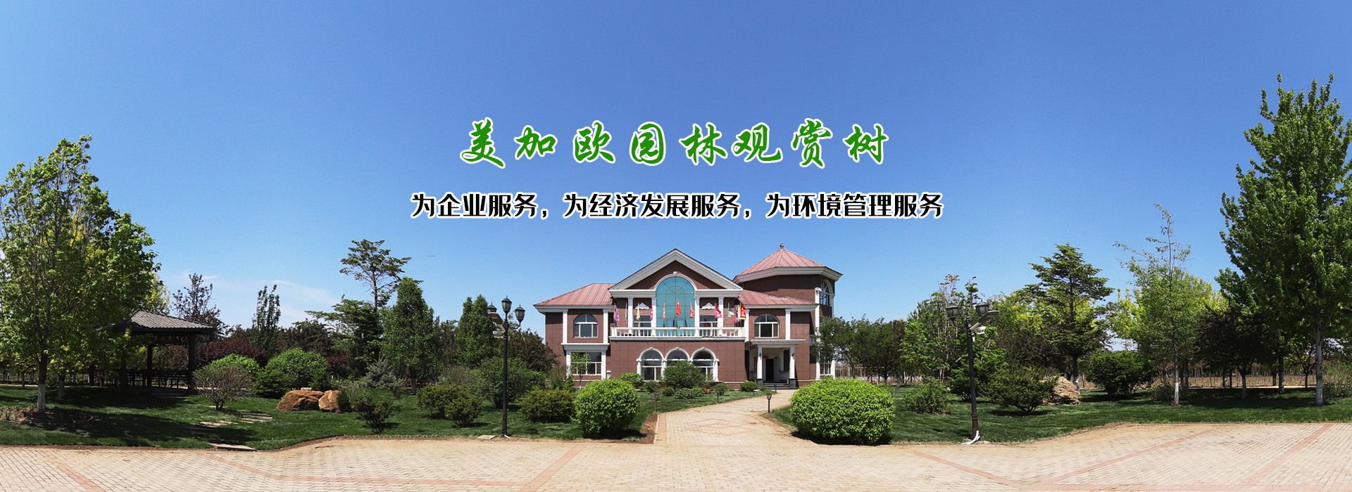 觀賞樹